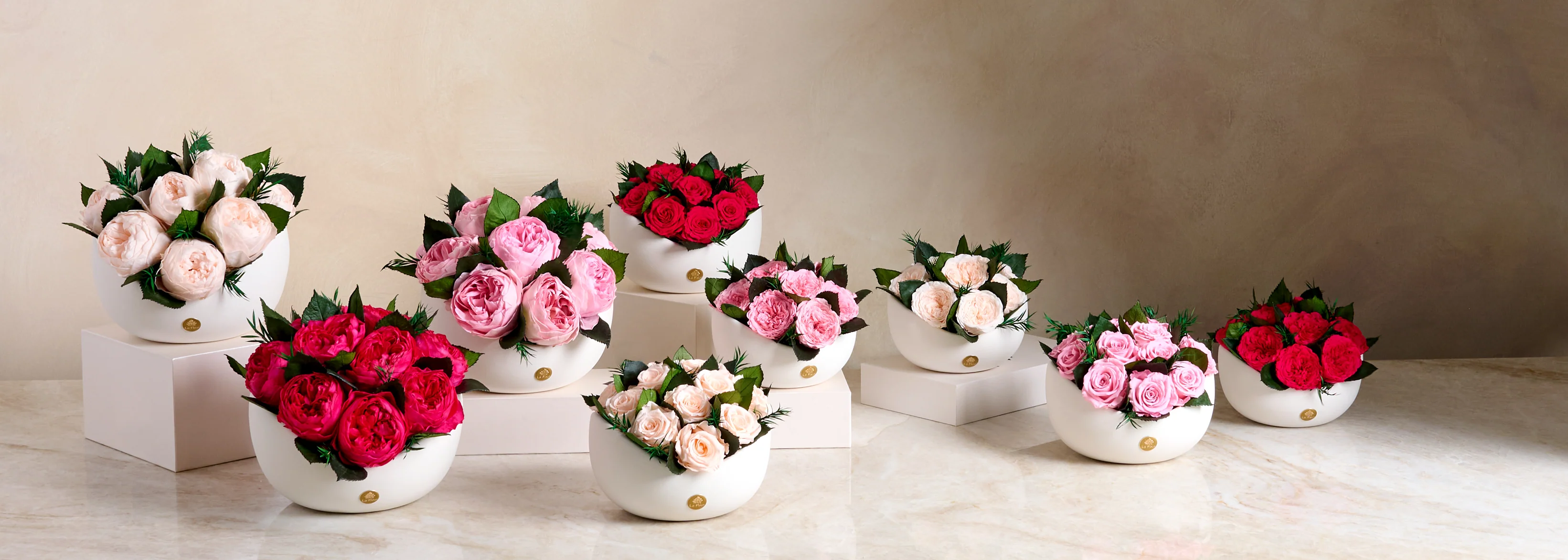 Timeless Blooms, Forever Beauty